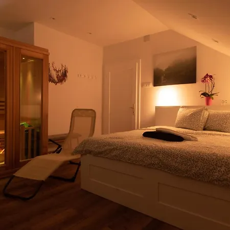 Deer Land Photo Kocevska Reka