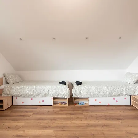 Deer Land Photo * Kocevska Reka