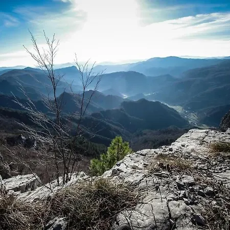 Apartment Deer Land Photo