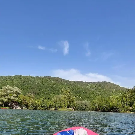 Deer Land Photo Kocevska Reka
