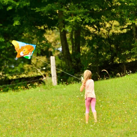 Deer Land Photo Kocevska Reka