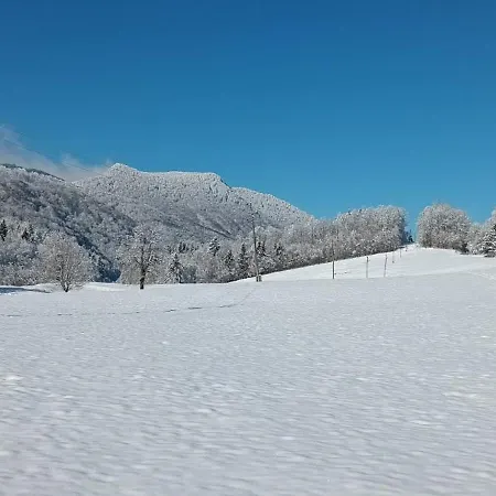 Deer Land Photo Kocevska Reka