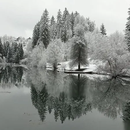 Deer Land Photo Kocevska Reka