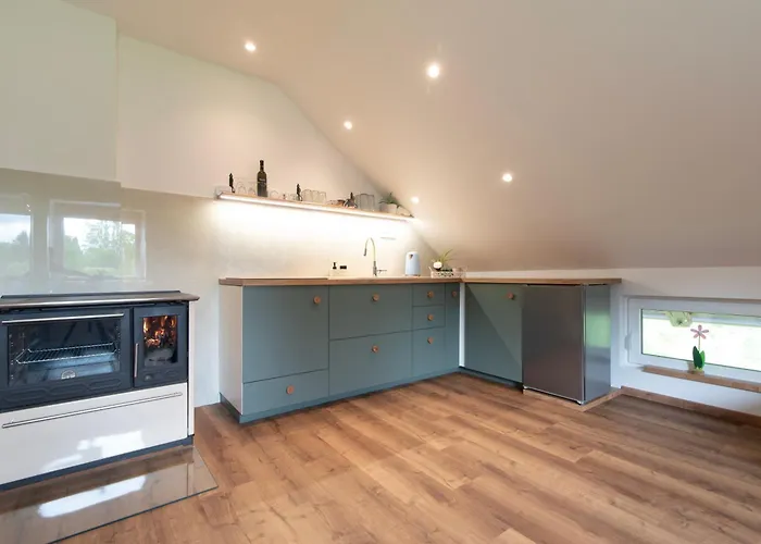 Deer Land Photo Kocevska Reka