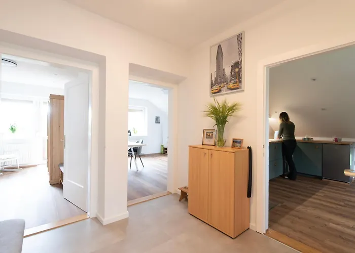 Deer Land Photo Kocevska Reka