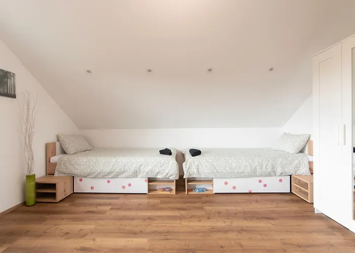 Deer Land Photo * Kocevska Reka