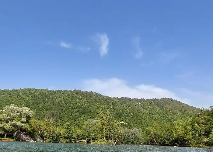 Deer Land Photo Kocevska Reka