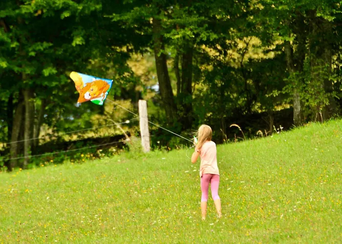 Deer Land Photo Kocevska Reka