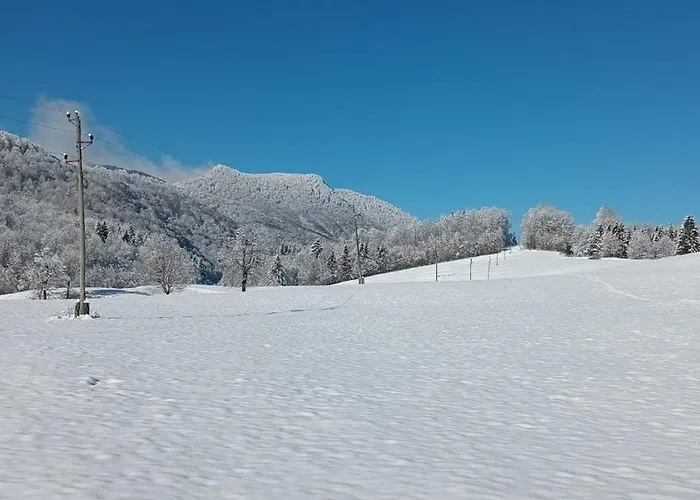 Deer Land Photo Kocevska Reka