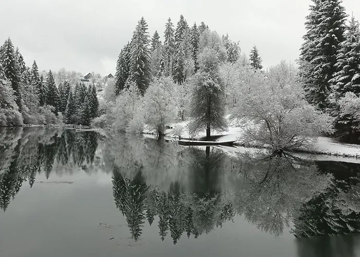Deer Land Photo Kocevska Reka